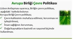 Avrupa Birliği Çevre Politikası